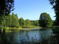 ��������� �� ��������: ����������� ���� - �������